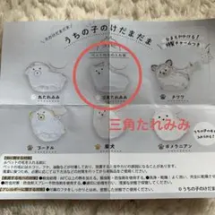 うちの子のけだまだま　三角たれみみ 動物デザイン