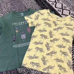 120サイズ　Tシャツ2枚セット
