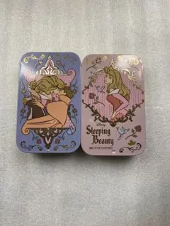 すらいどきゃん　ディズニー　プリンセス　オーロラ姫　２点セット