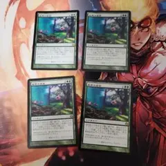 風景の変容　4枚