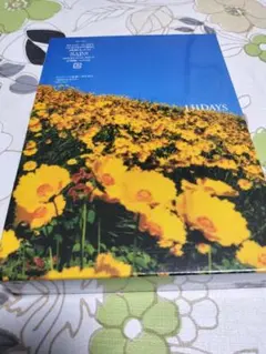 Item thumbnail for item 067c4227-b2f3-48d7-9cf0-0ce955d59fc9