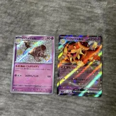 バウッツェル S 267/190