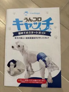 2026年最新】うんコロキャッチの人気アイテム - メルカリ