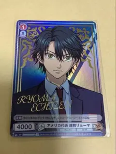2026年最新】テニプリ ヴァイスシュヴァルツ spの人気アイテム - メルカリ