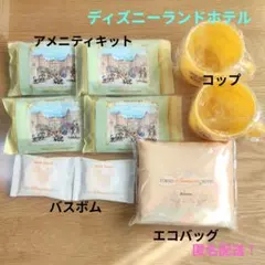 東京ディズニーランドホテル アメニティキット エコバッグ　コップ　まとめ売り