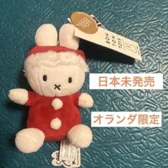 オランダ限定 クリスマス サンタ ミッフィー ぬいぐるみ - メルカリ