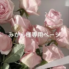 みかん様専用ページ