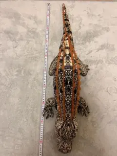 2026年最新】ワニリアルの人気アイテム - メルカリ