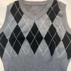 ニットベスト