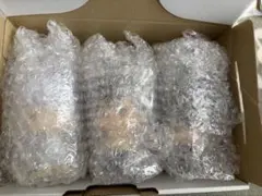 一番くじ　幽遊白書　暗黒武術会vol.3 F賞　SOFVICちゅ　３種セット