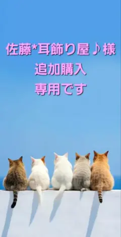 追加購入　専用　佐藤*耳飾り屋♪さま　ホワイト