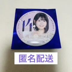 梅澤美波 缶バッジ 会場限定 ランダム 14thバスラ 乃木坂46 - メルカリ