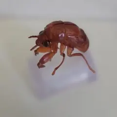 一番くじ　デスクトップフィギュア　セミの抜け殻