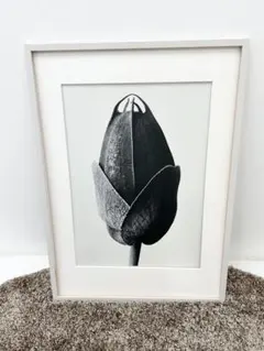 BoConcept Passion Flowerフレームアート ガラスなし訳あり