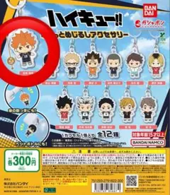ハイキュー!! ふらっとめじるしアクセサリー日向翔陽