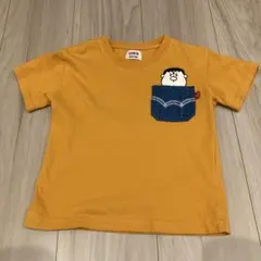 EDWIN マスタード色 Tシャツ 100
