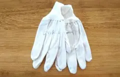 Item thumbnail for item 701deb29-a062-4248-a45a-3b6db740346f