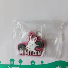 MINITEEN ぷっくりめじるし　エスクプス