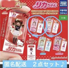 サンリオキャラクターズだいすきリカちゃんミニチュアパッケージコレクション　２点♪