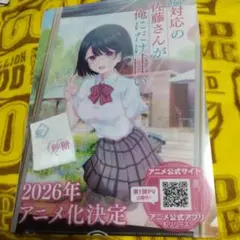 塩対応の佐藤さんが俺にだけ甘い クリアファイル - メルカリ