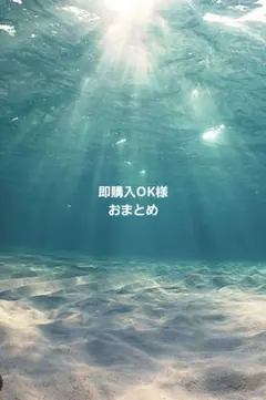 即購入OK様おまとめ