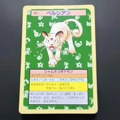トップサン ペルシアン