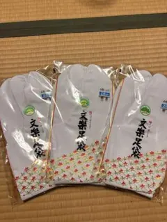 Item thumbnail for item e0bebae2-d3dd-4866-af39-e6f9c77df2ee