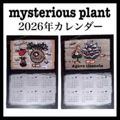 2026年カレンダー★グラキリス★アガベ
