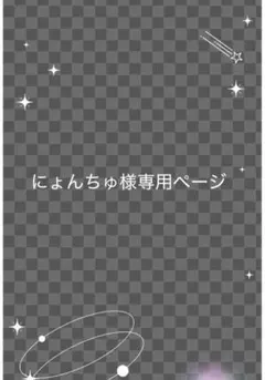 にょんちゅ様専用ページ