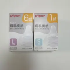 Item thumbnail for item 699c250e-ff8d-41ba-be02-b9a13bd3c99d