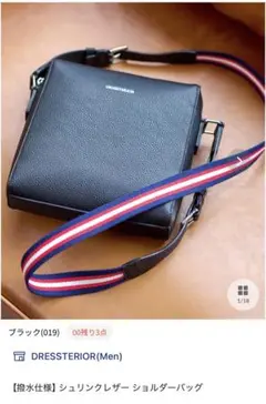 （最終値下価格）【定価19,800円】ドレステリア　ショルダーバッグ　黒
