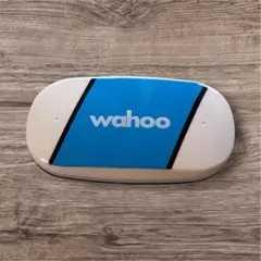 Item thumbnail for item 9cd4083c-d178-4799-9c33-b13cf5eb3997