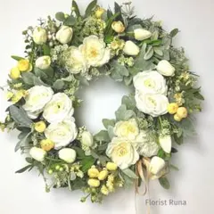 ブランシュール自家 札付きポットごとメルカリ便ルイパパさん苗 - メルカリ