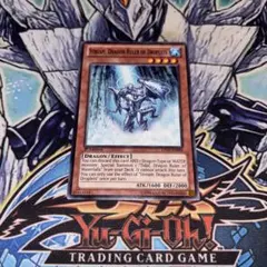 【遊戯王】親征竜 英語版 シークレット 4枚セット+子征竜付 遊戯王】親征竜 英語版 シークレット 4枚セット+子征竜付 遊戯王】親征