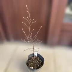 YASU293様 リクエスト 3点 まとめ商品