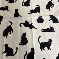 Item thumbnail for item ec80f5ab-a312-486a-a08d-f28c1281b68a