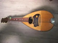 美品】SOUND ENA M-180 マンドリン 国産名機 ハードケース付 - メルカリ