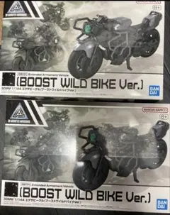 Item thumbnail for item d8384b74-1d23-450d-b643-ea543bc43ff7