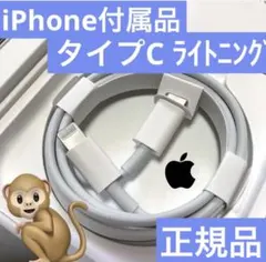 iPhone 充電器  タイプCライトニングケーブル 純正品 Apple正規品