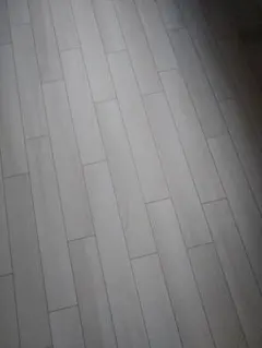 Item thumbnail for item 11434724-bb7d-4355-b321-9309769d6b69