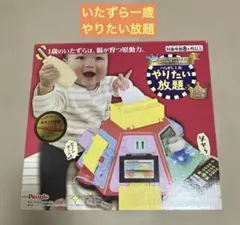 People やりたい放題 知育玩具 本体