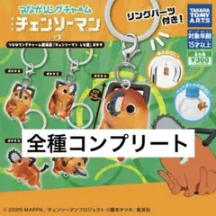 めじるしアクセサリー　チェンソーマン レゼ篇　ポチタ　コンプリート　ガチャガチャ