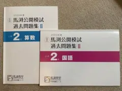 Item thumbnail for item 26986329-b63f-48ac-a8cd-3ed972e7dcdb