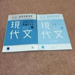 2025共通テスト対策　重要問題演習現代文