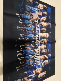 島根スサノオマジック　ランダム布ポスター　全員集合