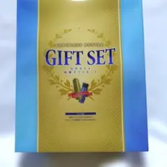 ステンレスボトル ギフトセット 真空ボトル 2本セット