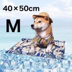 치클 펫 쿨 매트 강아지, 고양이, 토끼용 미디엄 40 x 50cm