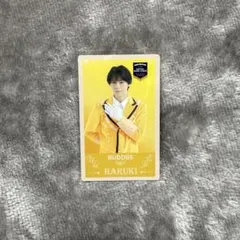 EBiDAN エビライ カード トレカ BUDDiiS HARUKI