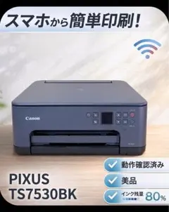 Canon PIXUS TS8530 印刷枚数970枚 N8189 - メルカリ