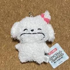 しろいぬちゃんとちゃいぬくん　ぬいぐるみMC